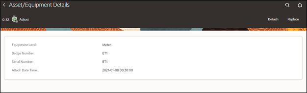 Asset Equipment Details page. The Replace button is the first from right to left.