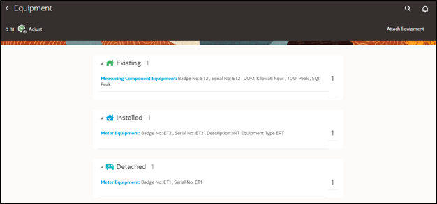 Equipment page showing the existing, the installed, and the detached equipments.