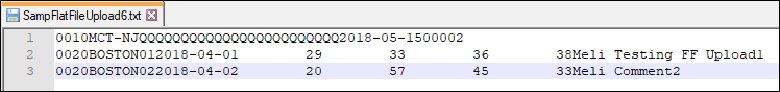 Screen capture showing a sample import file