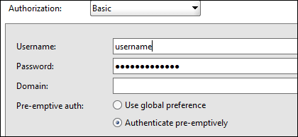 Screen capture showing Basic authentication options