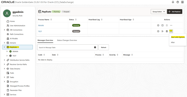 Screen shot showing replicat processing