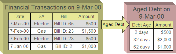 While the financial transaction dispute is being researched, the disputed amount will not affect aged debt, but still forms part of the customer's balance.