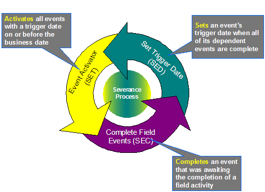 The Severance background processes are the Set Trigger Date (SED), Event Activator (SET), and Complete Field Events (SEC). SED sets an event's trigger date when all dependent events are complete. SET activates all events with trigger dates that is on or before the business date. SEC completes an event that is waiting for the completion of a field activity.