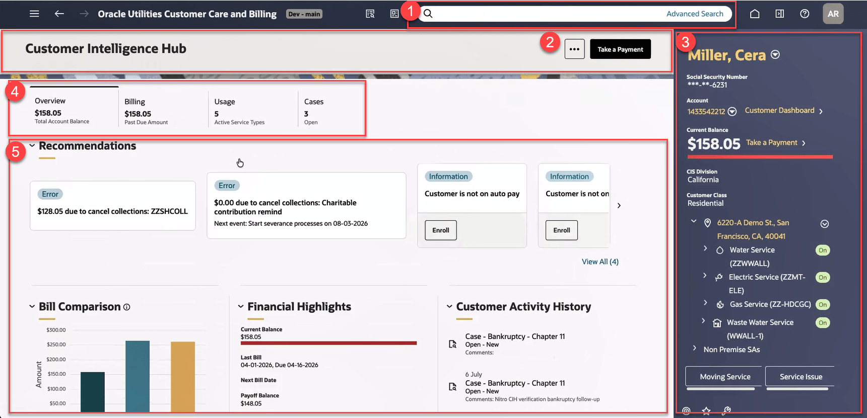 This image shows an example of the Customer Intelligence Hub.
