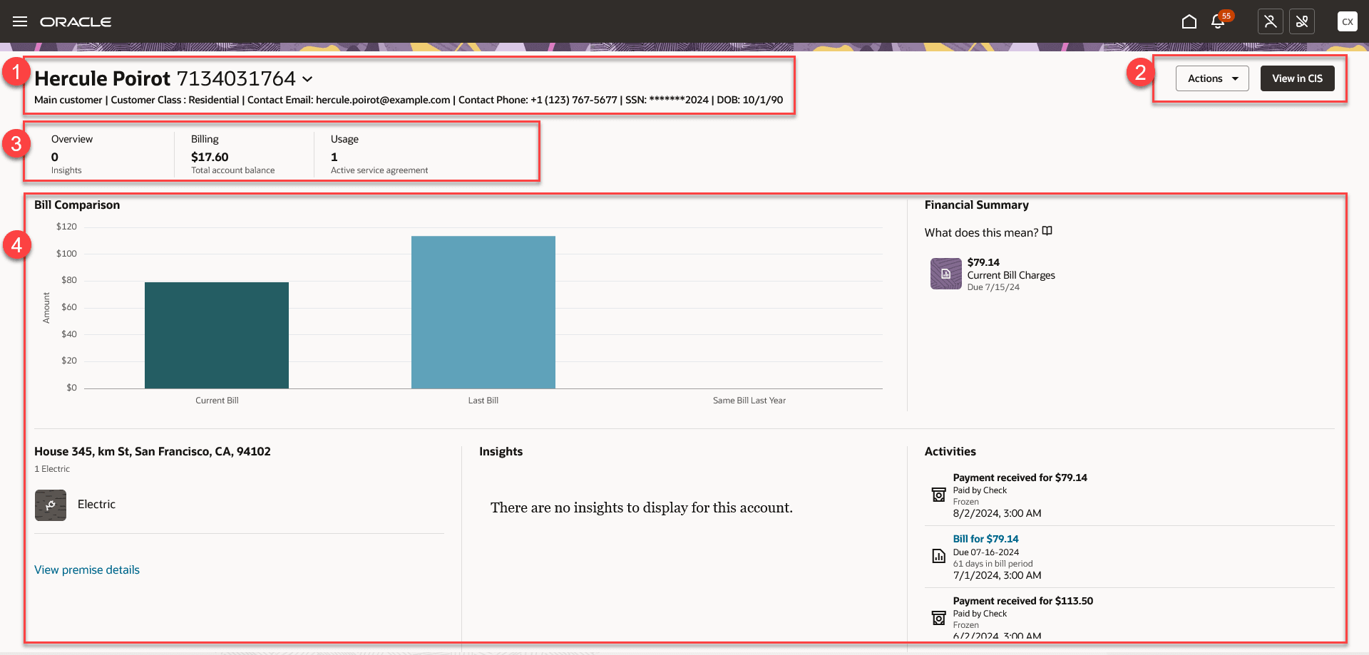 This image shows an example of the Overview tab.