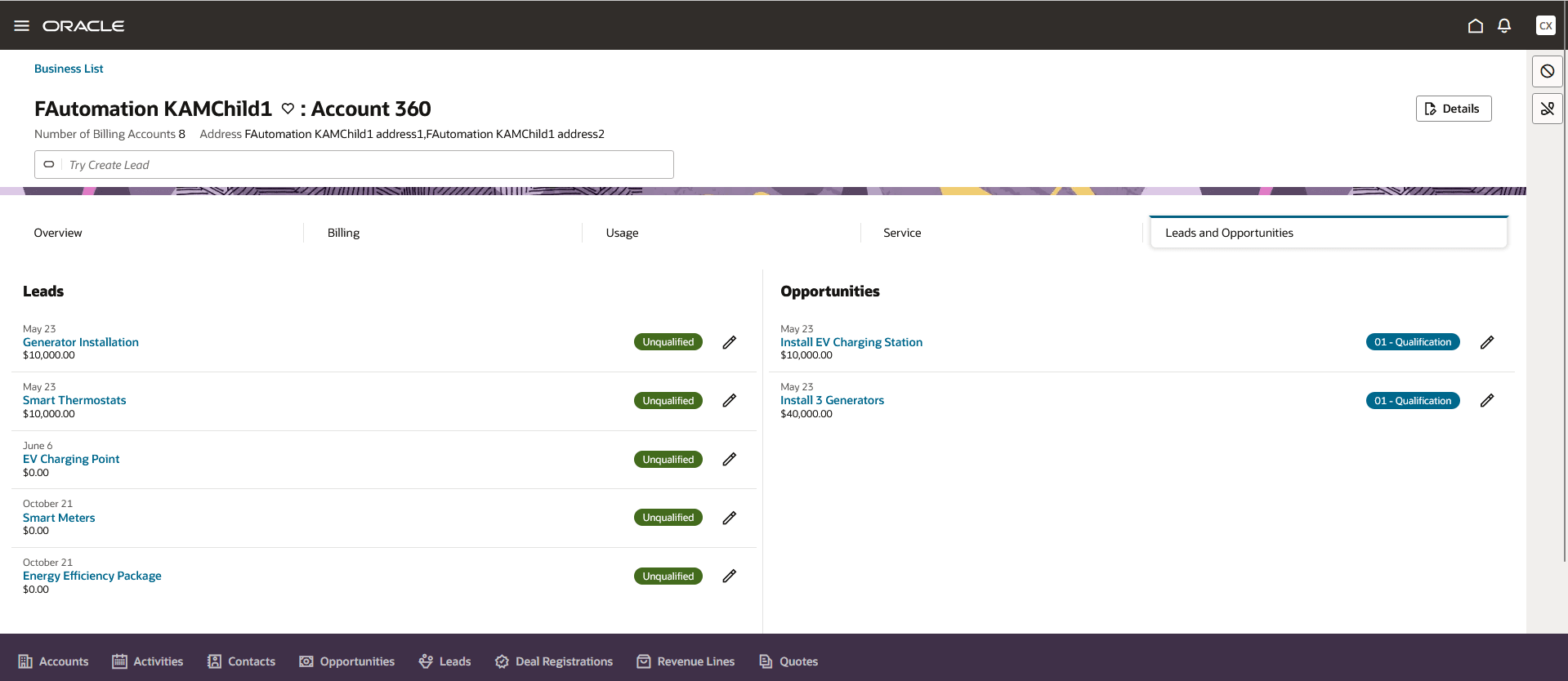 This image shows an example of the Leads and Opportunities tab. This image shows an example of the Leads and Opportunities tab.