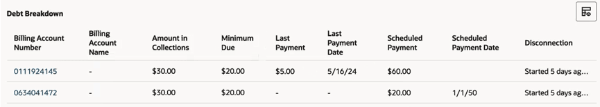 This image shows an example of the Debt Breakdown table. This image shows an example of the Debt Breakdown table.