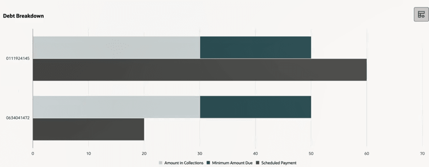 This image shows an example of the Debt Breakdown chart. This image shows an example of the Debt Breakdown chart.