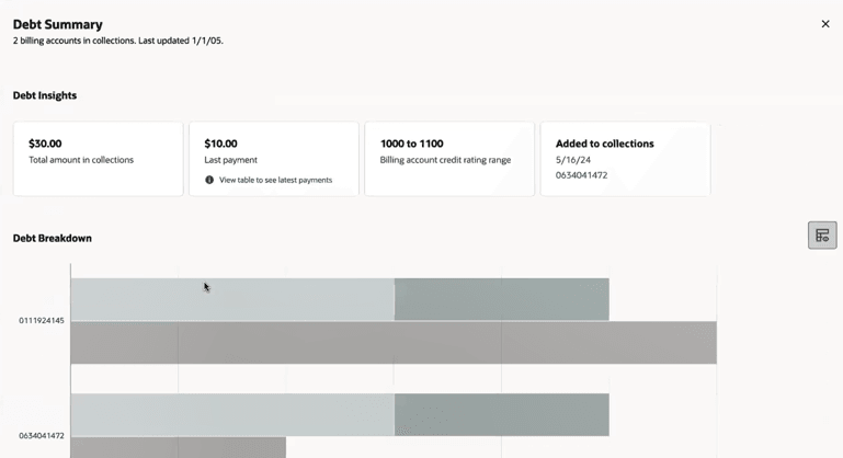 This image shows an example of the Debt Summary drawer. This image shows an example of the Debt Summary drawer.