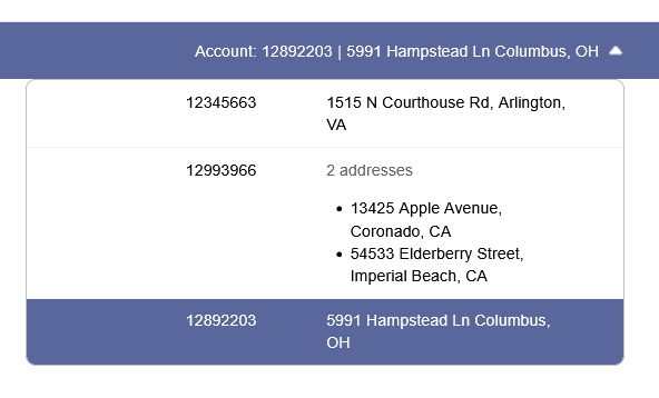 Example screenshot of a dropdown menu displaying three accounts. One account shows a single address, another lists two addresses, and the selected account is highlighted in blue with its address shown.
