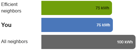 This graphic shows how the bar graph appears if there is a negligible, greater than, or equal to difference between the customer and efficient neighbors.