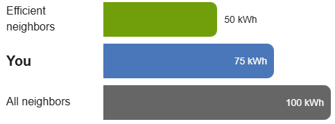 This graphic shows how the bar graph appears if the customer used than all neighbors but more than efficient neighbors.