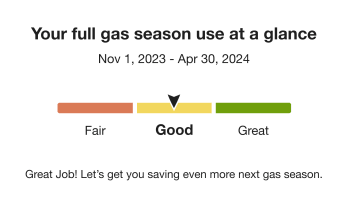 eHERv3 Benchmark module for the Usage Lookback Report for a gas client