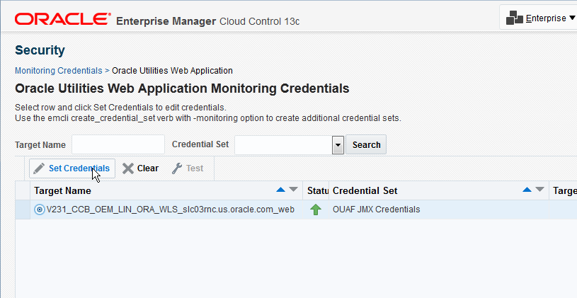 The Set Credentials button facilitates the data entry of JMX credentials for the selected target.