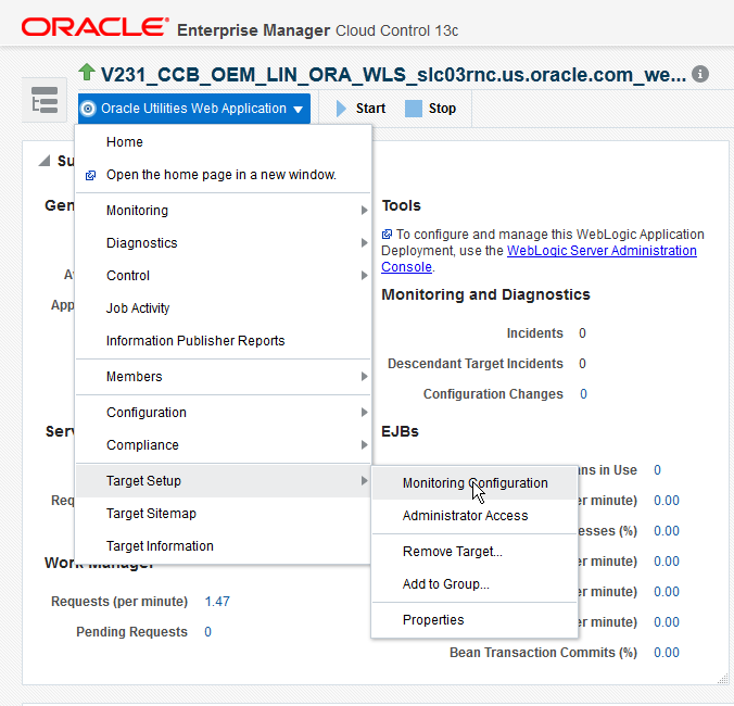 Select the Target Setup and the Monitoring Configuration menu items to start setting up the monitoring configuration for all the environments.