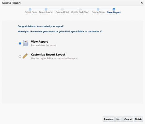 Image of View Report radio button selected on the create report screen