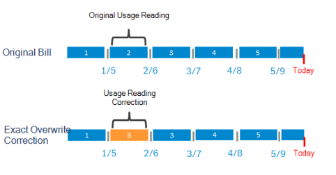 Image showing the original usage read and the usage read correction.