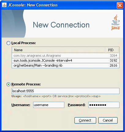 The dialog box for creating connections to remote processes