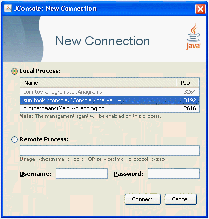 The dialog box for creating connections to local processes