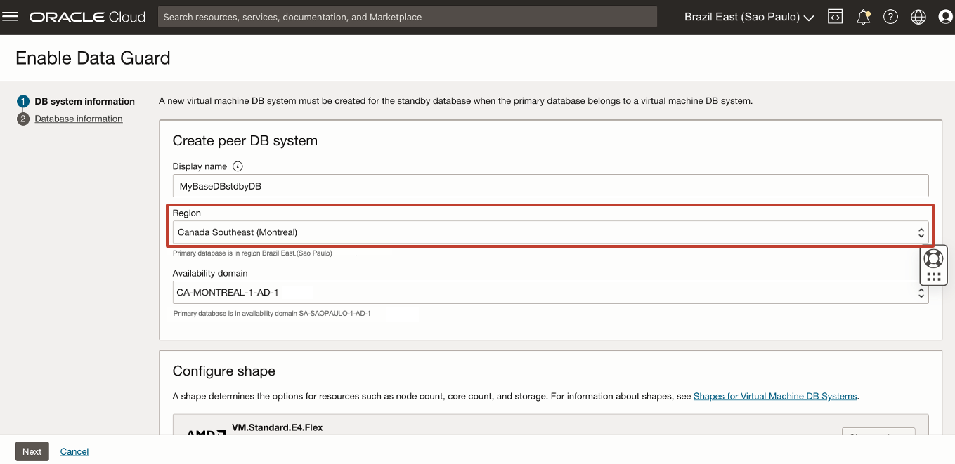 Image showing Peer DB System Information