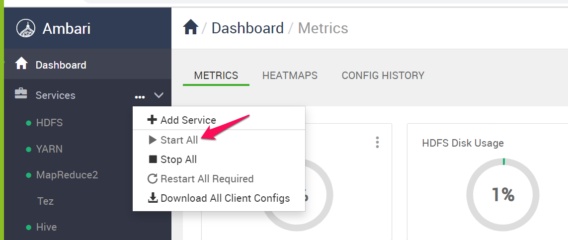 Ambari Start Services