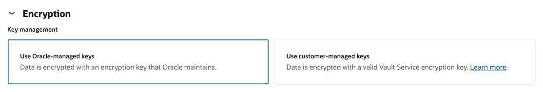 Image showing Create Oracle database Advanced Options - Encryption