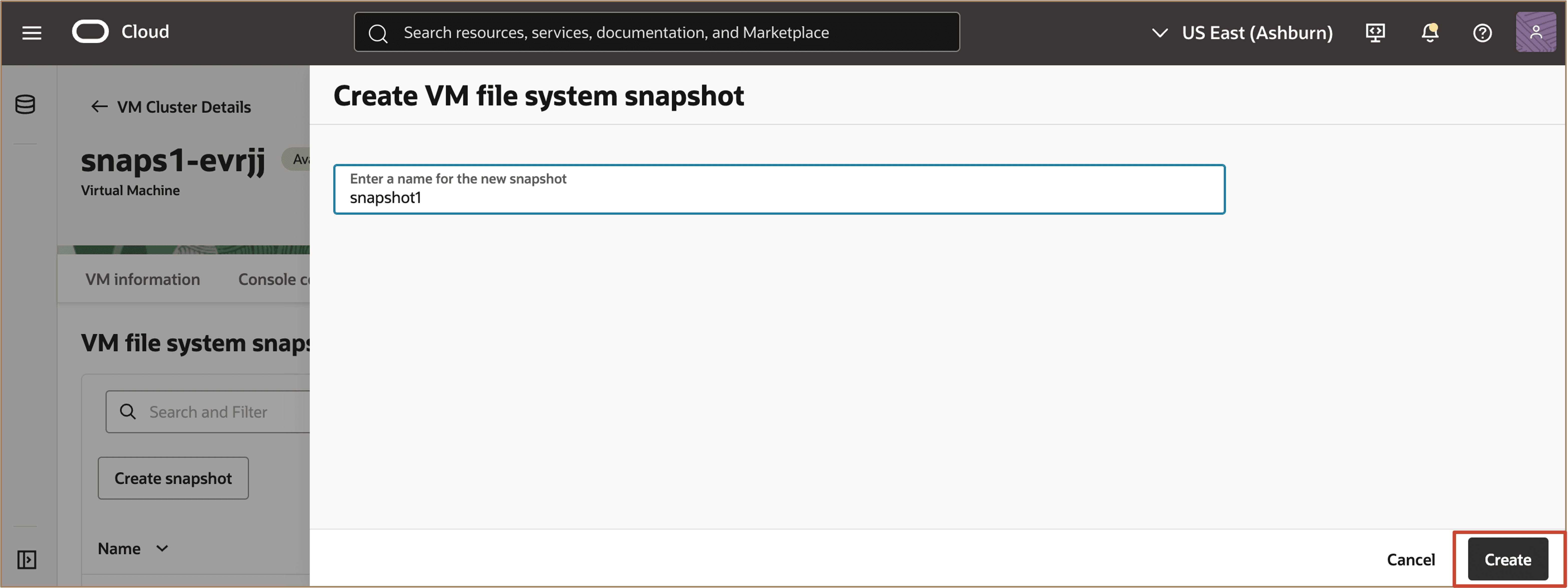 Image showing to enter a name for the new snapshot