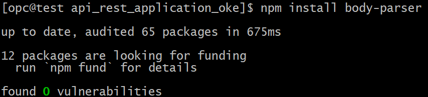 Installing body-parser Library