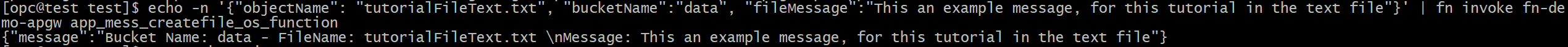 Invokation of the function