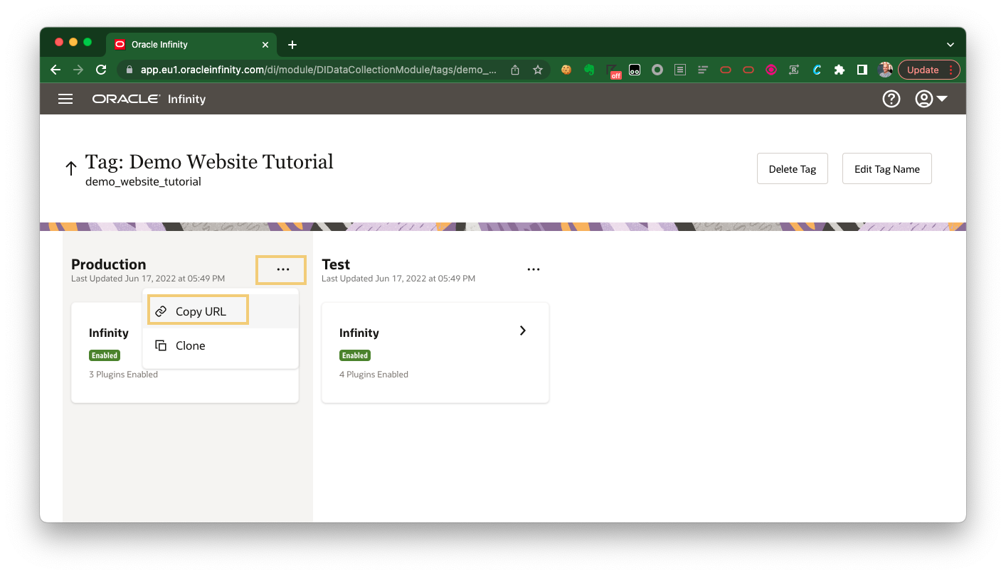 Getting your CX Tag URL
