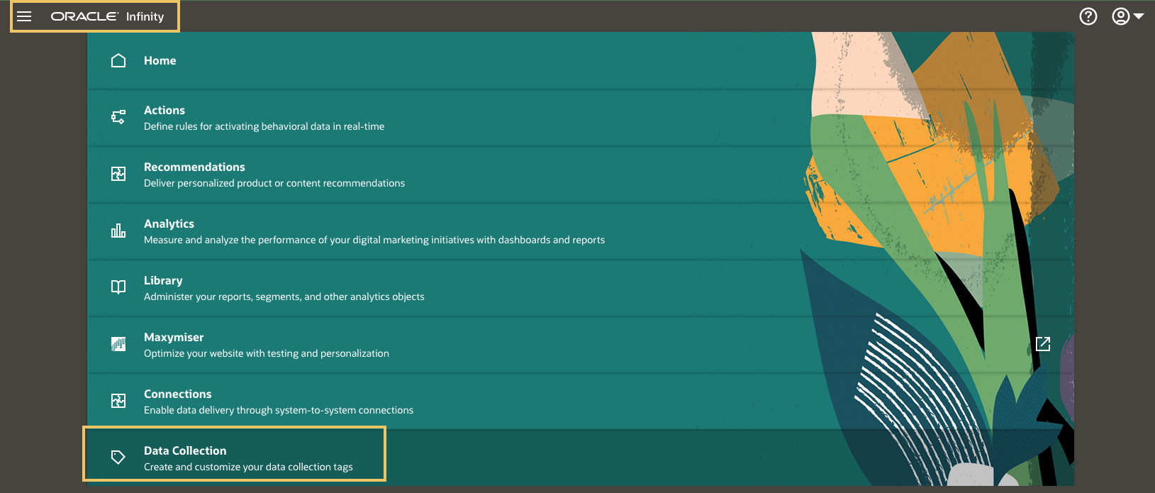 Data Collection Application