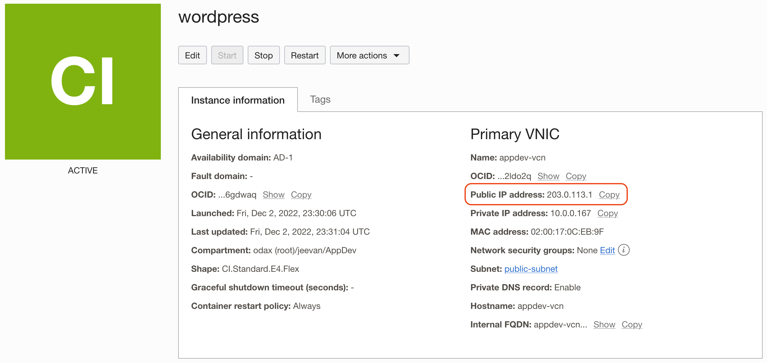 Manage Container Workloads On OCI Using The Container Instances Service Manage Container Workloads On OCI Using The Container Instances Service