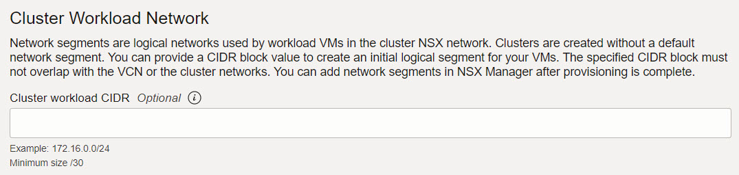 Workload Cluster - NSX Segment