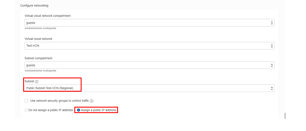 Assign a Public IP Address