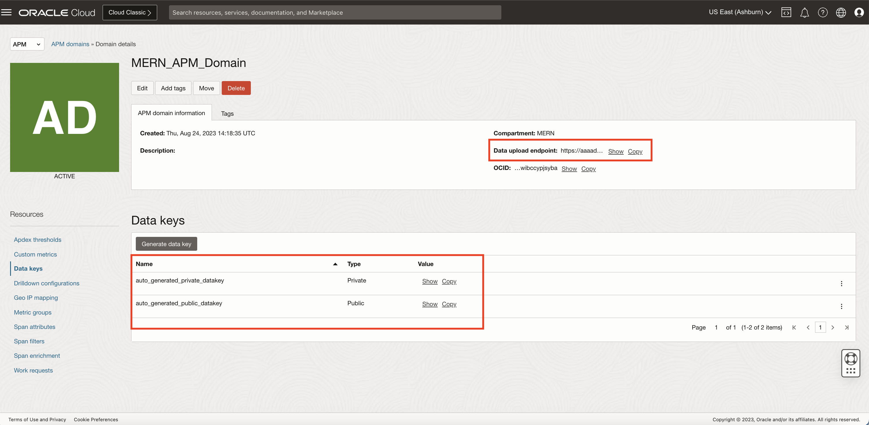 Image showing OCI Application Performance Monitoring domain details.