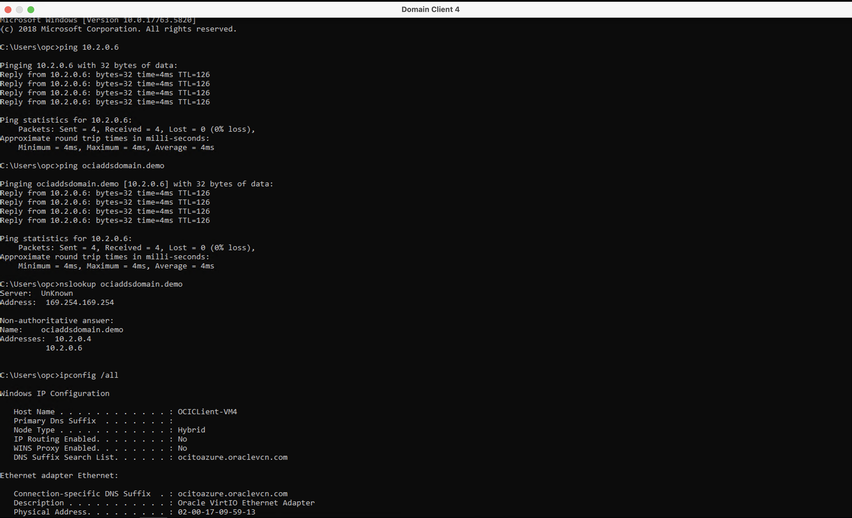 Verify Domain Name Resolution in OCI Compute