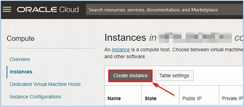 Click the button Create Instance to begin