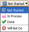 Status indicator drop down list: Not Started, In Process, Done, Will not Do