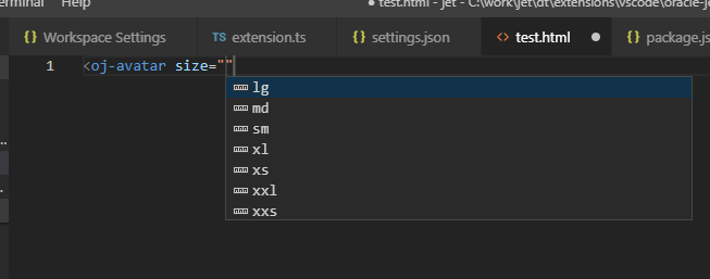 Description of vscode-jet-attributes.png follows