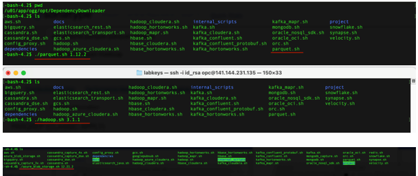 II. Execute parquet.sh and hadoop.sh with and azure_blob_storage.sh with the required versions.