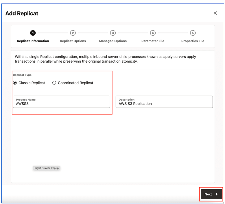 Provide Replicat Options and click Next.