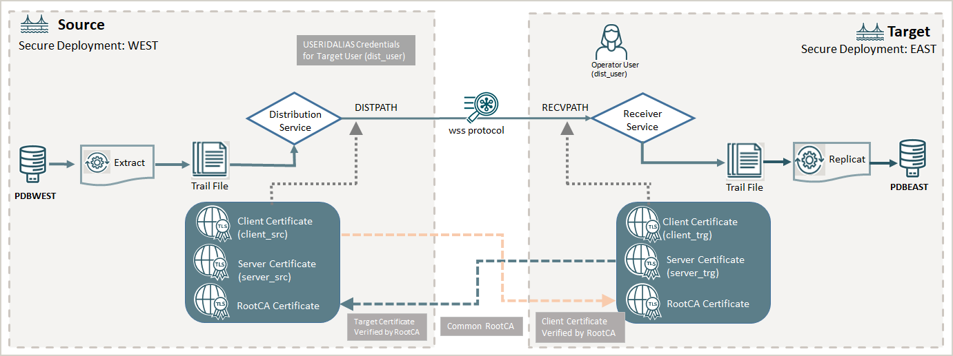 Diagram shows secure source and target deployments using certificates for authenticating client and server certificates using rootCA and authorizing an Oracle GoldenGate deployment user with role as Operator and user type as Password to set up credential alias on source deployment to connect to target.