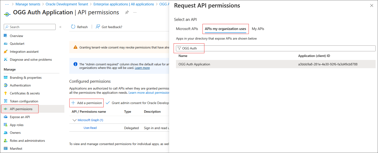 Request API permissions for the application Request API permissions for the application