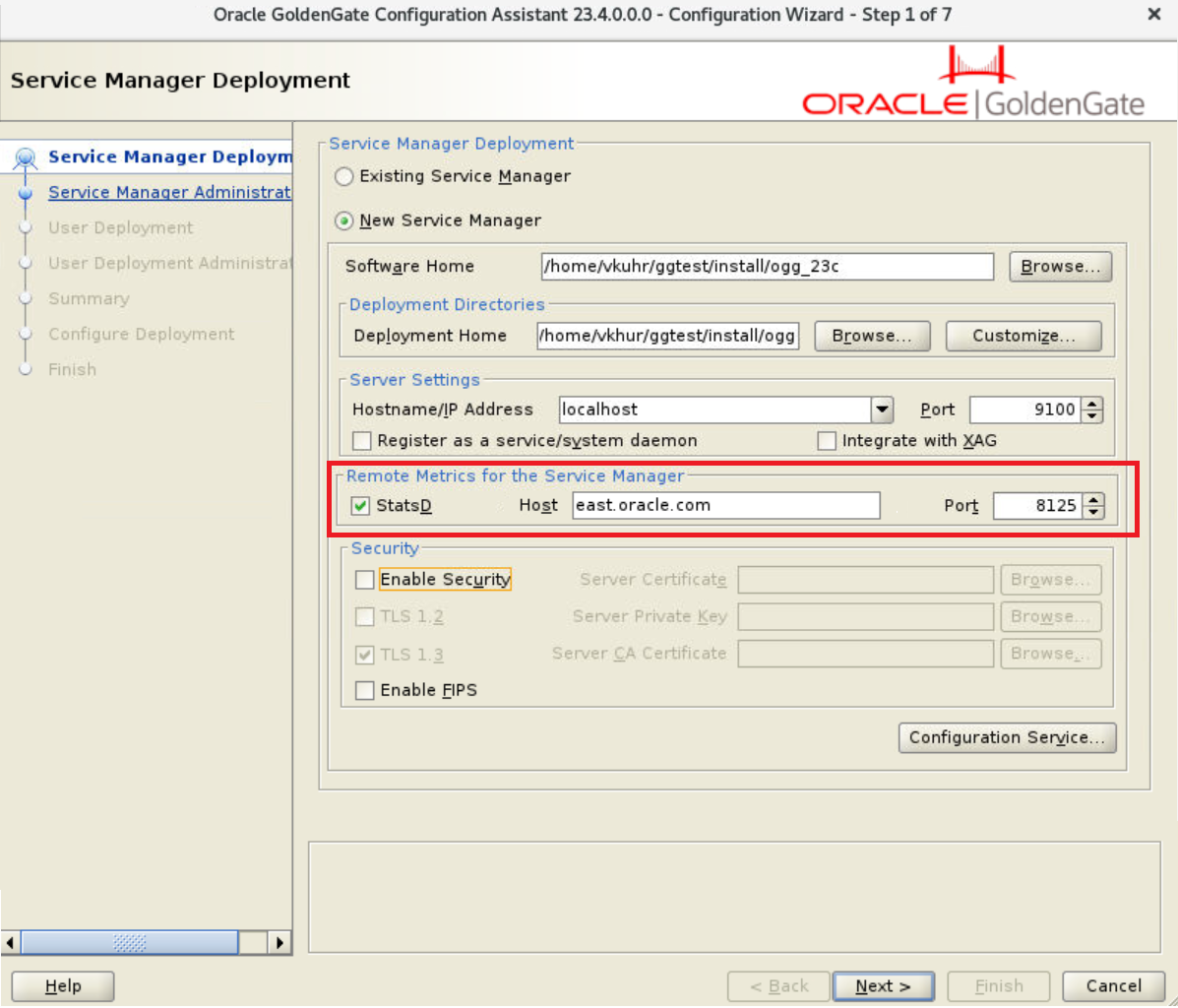 OGGCA Service Manager deployment screen with the StatsD option enabled