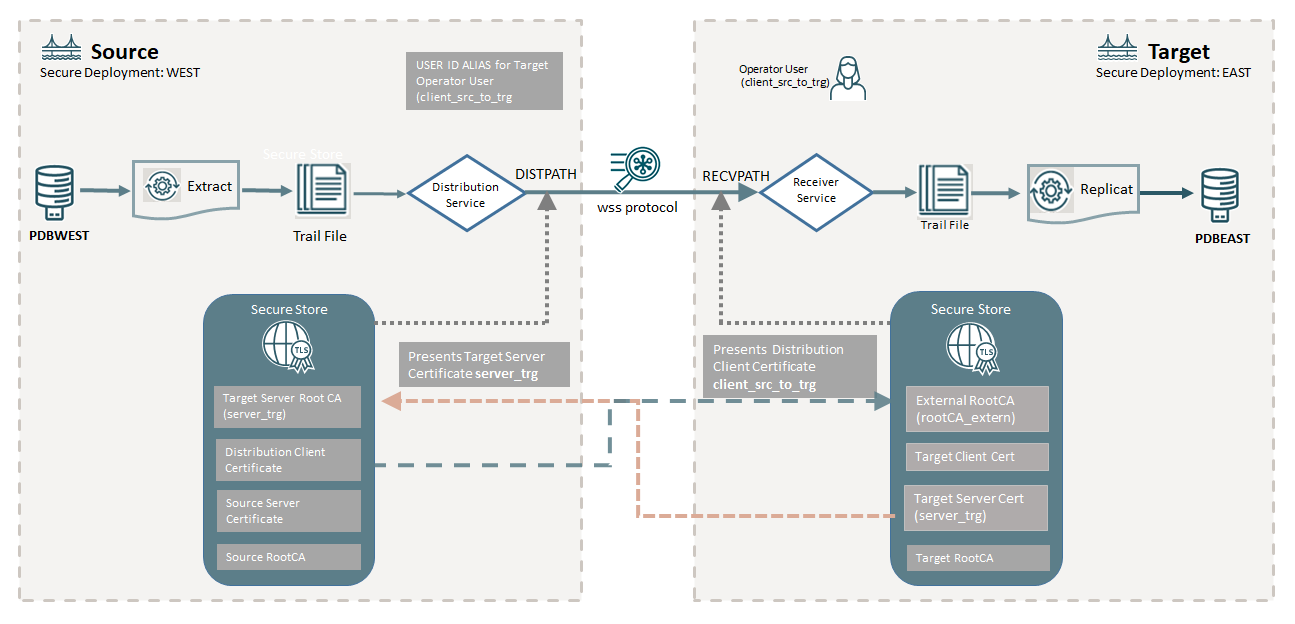 Diagram shows the source and target deployments across the network using CA certificates for verifying and authorizing communication through the DISTPATH client and target server.