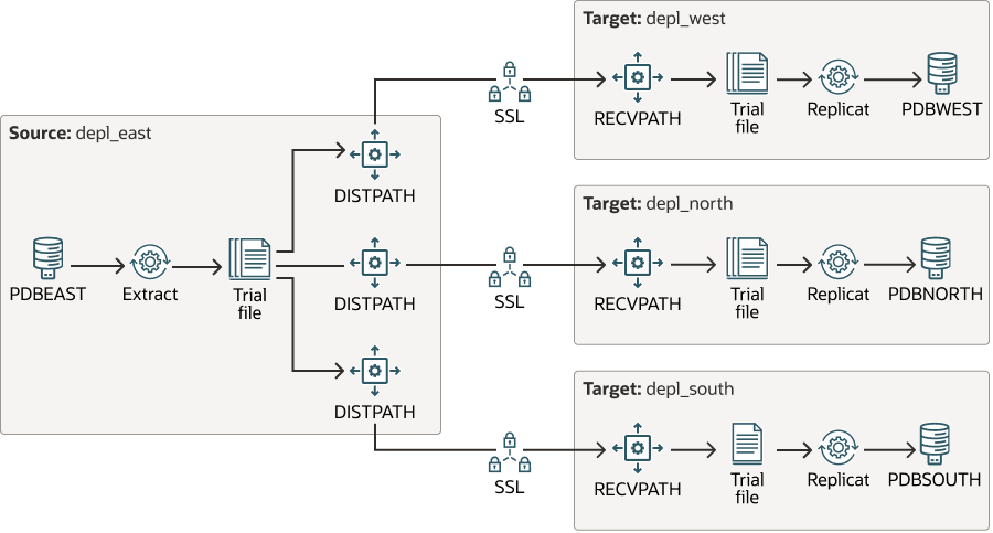 Broadcasting trail data using multiple DISTPATHS.