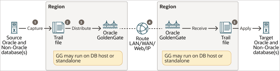 Hub-based configuration for a local Oracle GoldenGate deployment.