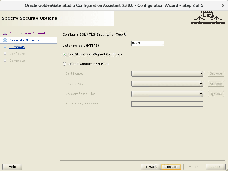 Security options configured in the Specify Security Options screen of the GoldenGate Studio Configuration Wizard Security options configured in the Specify Security Options screen of the GoldenGate Studio Configuration Wizard