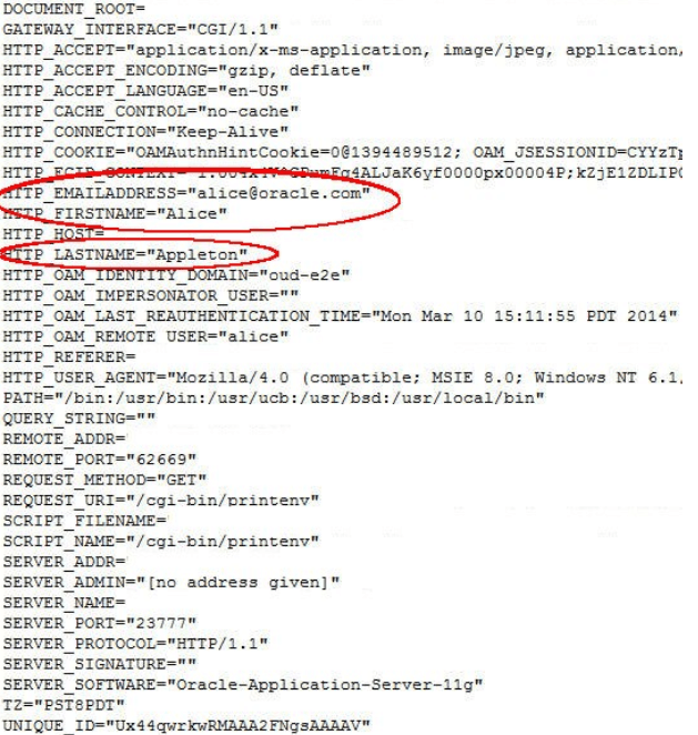 HTTP Header Page