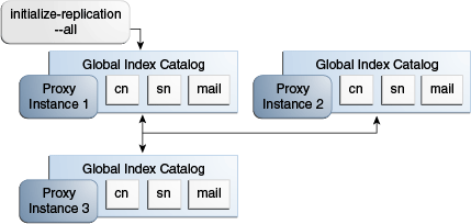 Description of Figure 23-4 follows